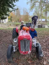Séjour ✨ Un voyage ludique et culturel au cœur de la Normandie ✨ - Galerie Mont St Michel et visite de la ferme / jour 4