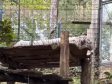 Séjour ✨ Un voyage ludique et culturel au cœur de la Normandie ✨ - Galerie Zoo de Beauval / jour 5