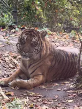 Séjour ✨ Un voyage ludique et culturel au cœur de la Normandie ✨ - Galerie Zoo de Beauval / jour 5