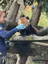 Séjour ✨ Un voyage ludique et culturel au cœur de la Normandie ✨ - Galerie Zoo de Beauval / jour 5