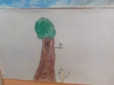 Centre de Siaugues Sainte Marie - Vacances - Galerie Octobre 2025