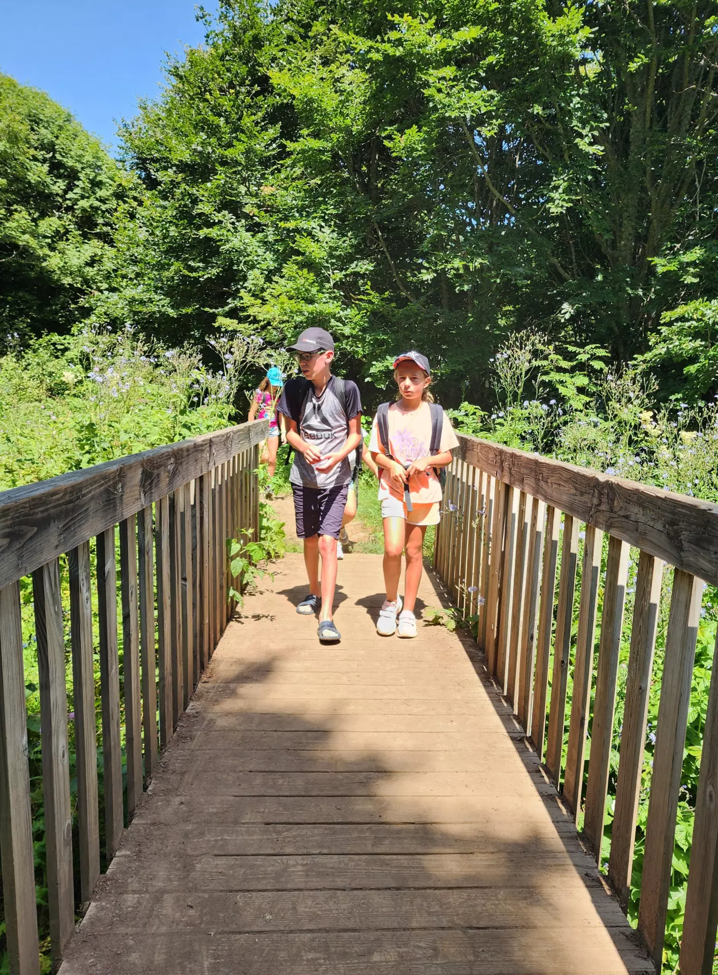 Centre de Velay Ouest (Loudes) - Vacances - Galerie Camp 2024 "Route des Gentianes"