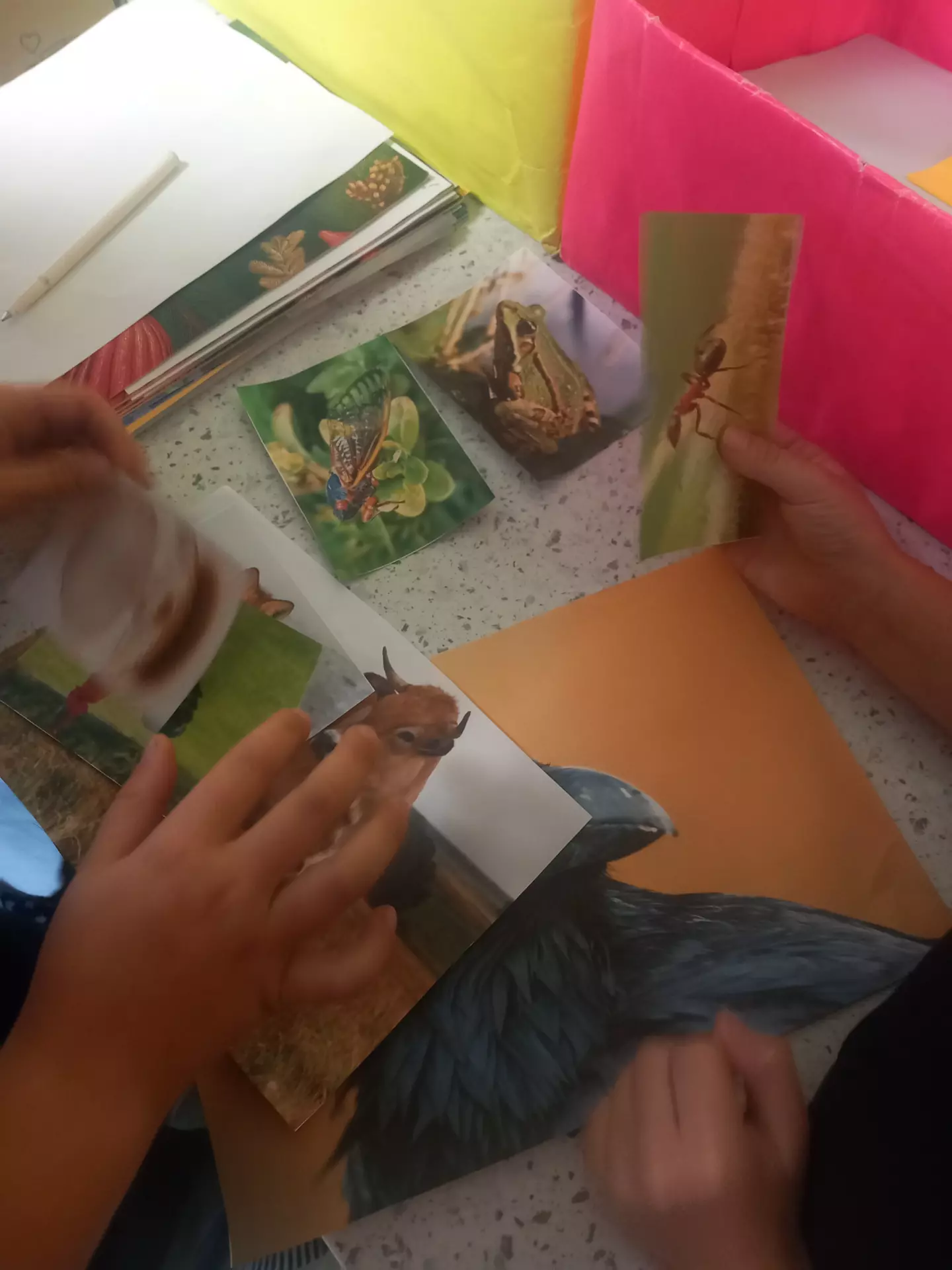 Centre de Siaugues Sainte Marie - Vacances - Galerie Octobre 2025