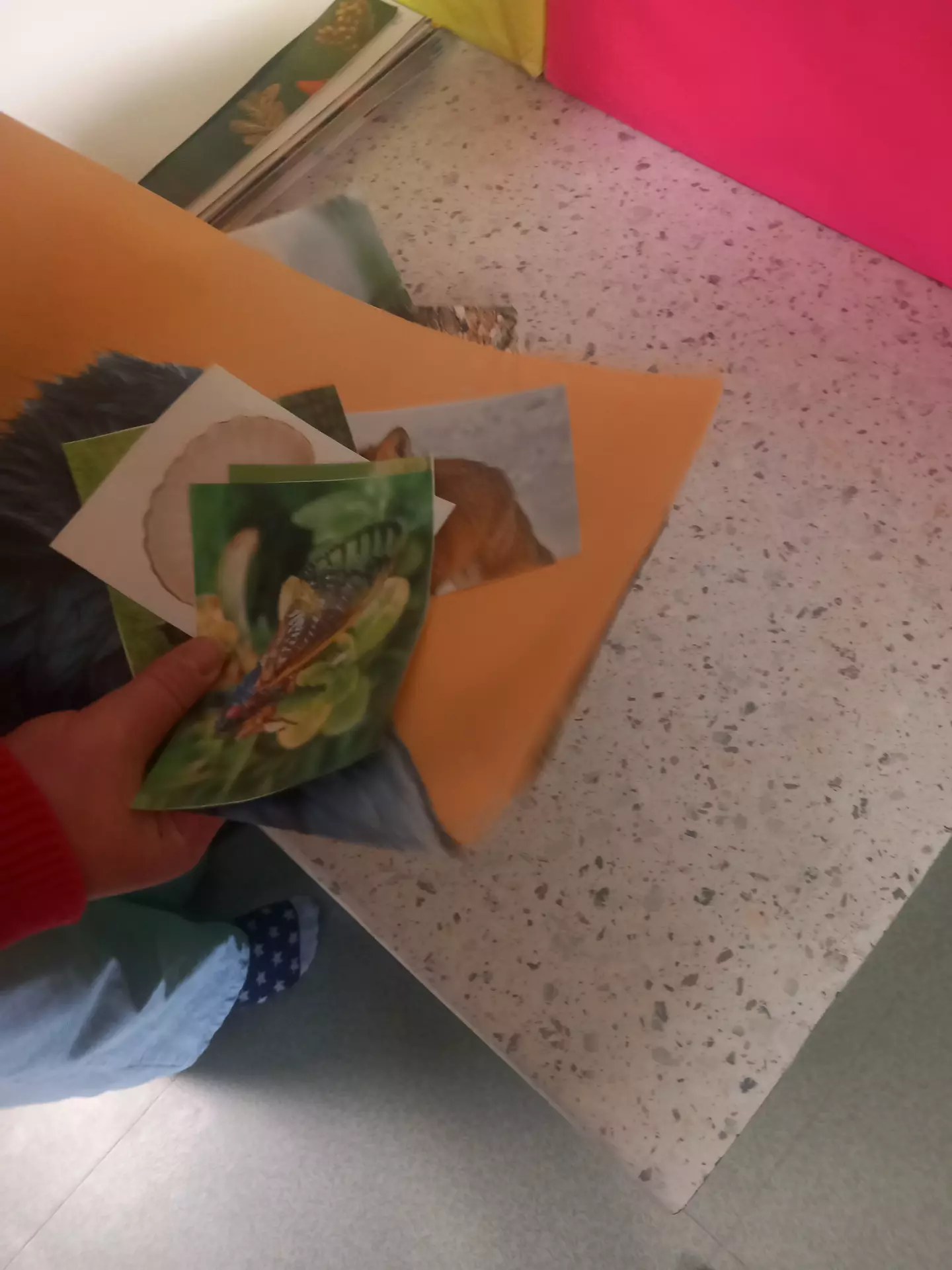 Centre de Siaugues Sainte Marie - Vacances - Galerie Octobre 2025