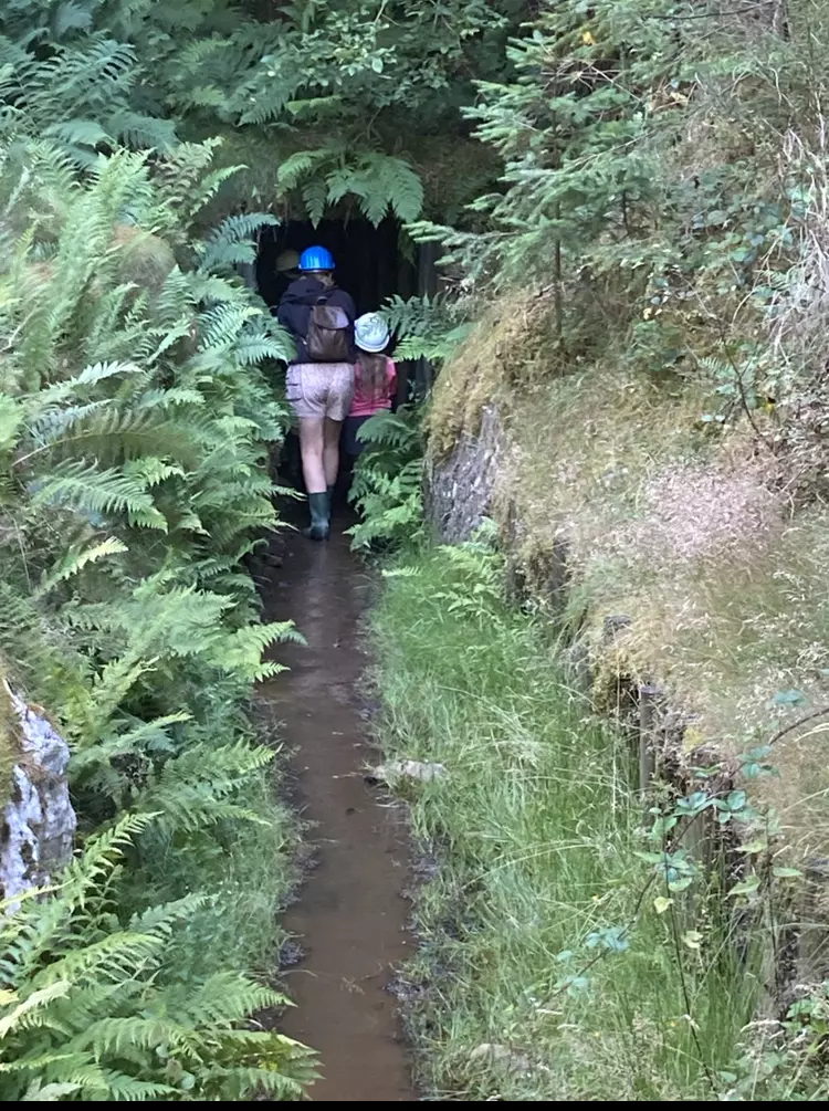Centre de Saugues - Vacances - Galerie Mini-camps « Tous en forêt » - Fonchaude - 2022