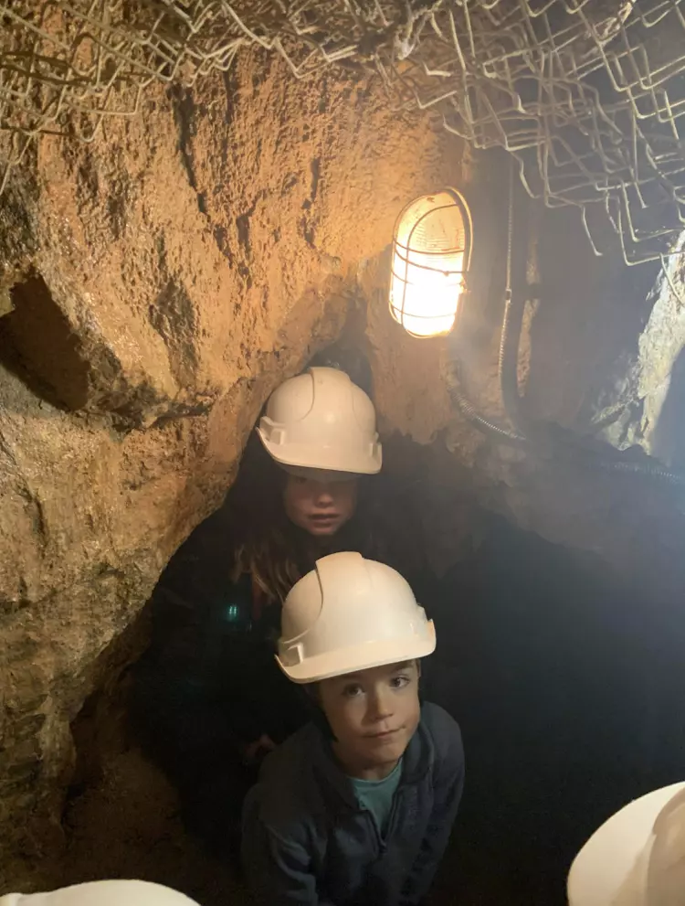 Centre de Saugues - Vacances - Galerie Mini-camps « Tous en forêt » - Fonchaude - 2022