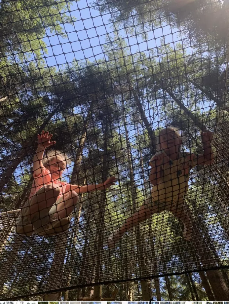 Centre de Saugues - Vacances - Galerie Mini-camps « Tous en forêt » - Fonchaude - 2022