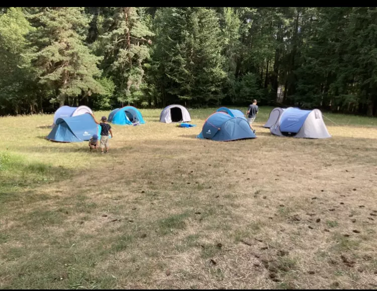 Centre de Saugues - Vacances - Galerie Mini-camps « Tous en forêt » - Fonchaude - 2022