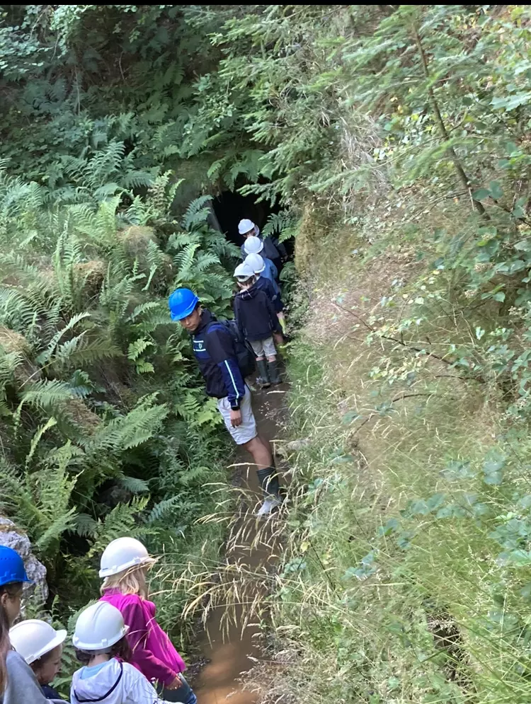 Centre de Saugues - Vacances - Galerie Mini-camps « Tous en forêt » - Fonchaude - 2022