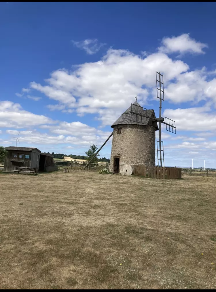 Centre de Saugues - Vacances - Galerie Mini-camps « Tous en forêt » - Fonchaude - 2022