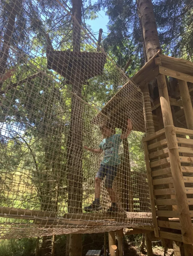 Centre de Saugues - Vacances - Galerie Mini-camps « Tous en forêt » - Fonchaude - 2022