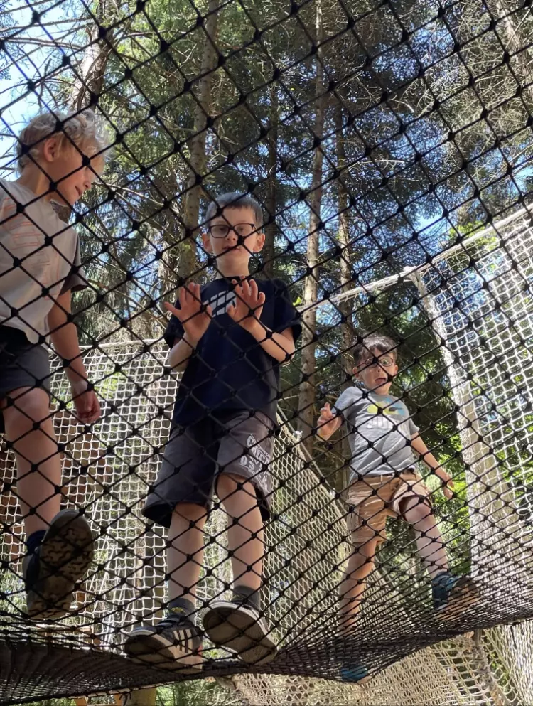 Centre de Saugues - Vacances - Galerie Mini-camps « Tous en forêt » - Fonchaude - 2022