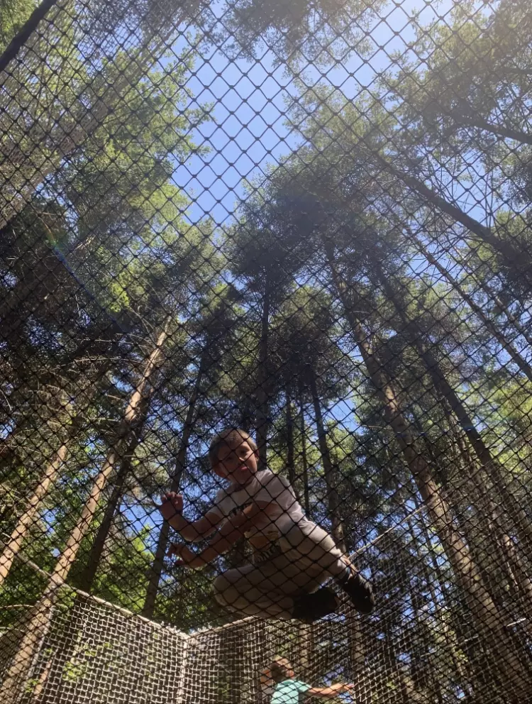 Centre de Saugues - Vacances - Galerie Mini-camps « Tous en forêt » - Fonchaude - 2022