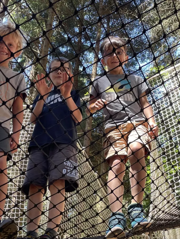 Centre de Saugues - Vacances - Galerie Mini-camps « Tous en forêt » - Fonchaude - 2022