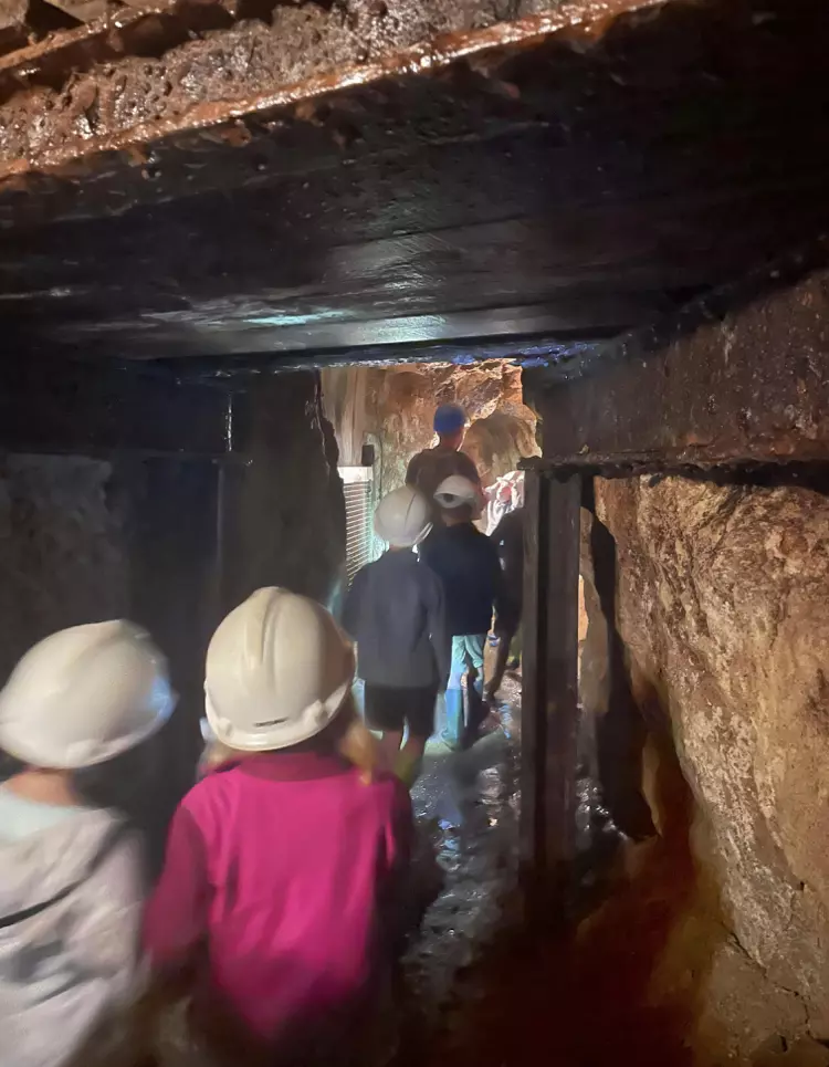 Centre de Saugues - Vacances - Galerie Mini-camps « Tous en forêt » - Fonchaude - 2022
