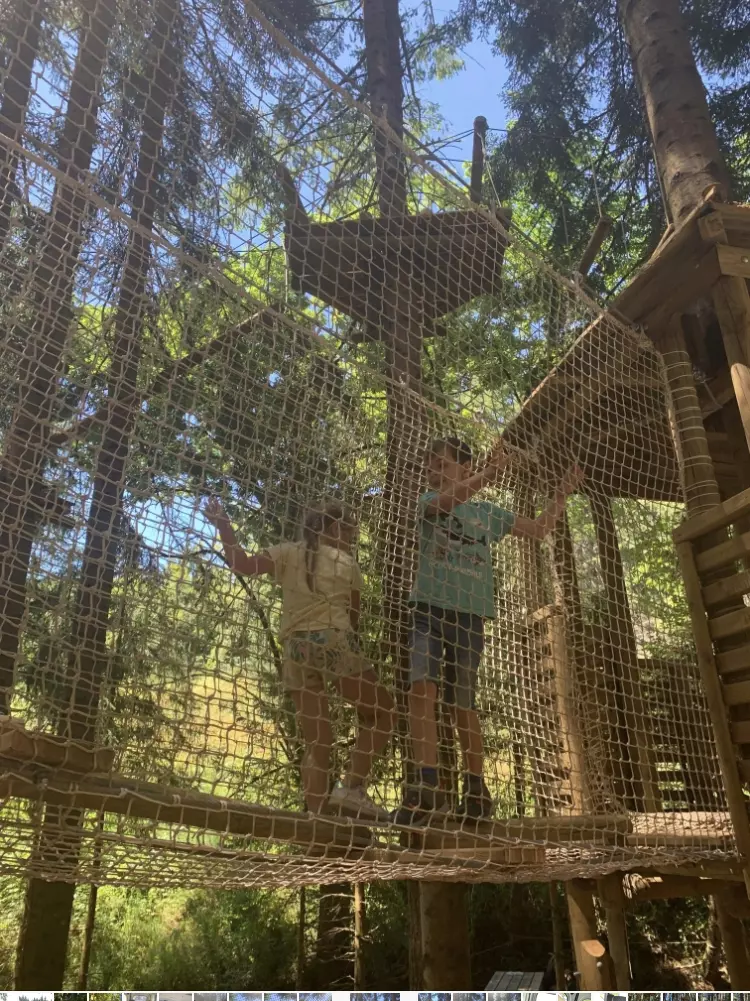 Centre de Saugues - Vacances - Galerie Mini-camps « Tous en forêt » - Fonchaude - 2022