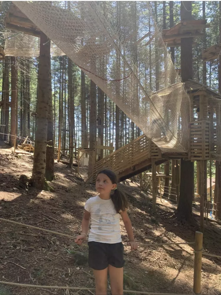 Centre de Saugues - Vacances - Galerie Mini-camps « Tous en forêt » - Fonchaude - 2022