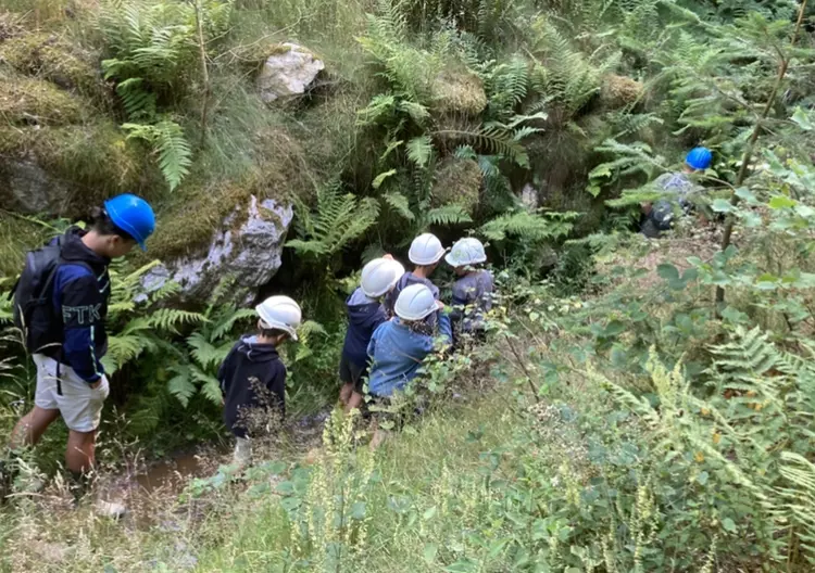 Centre de Saugues - Vacances - Galerie Mini-camps « Tous en forêt » - Fonchaude - 2022