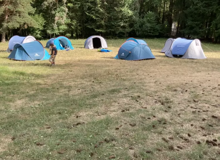 Centre de Saugues - Vacances - Galerie Mini-camps « Tous en forêt » - Fonchaude - 2022