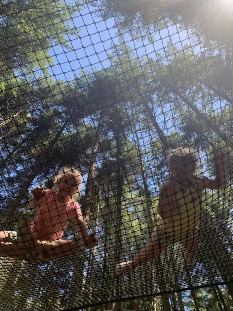 Centre de Saugues - Vacances - Galerie Mini-camps « Tous en forêt » - Fonchaude - 2022