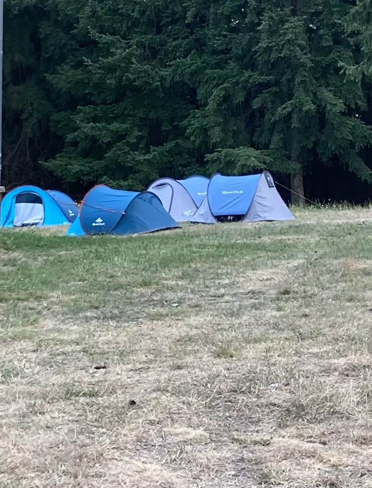 Centre de Saugues - Vacances - Galerie Mini-camps « Tous en forêt » - Fonchaude - 2022