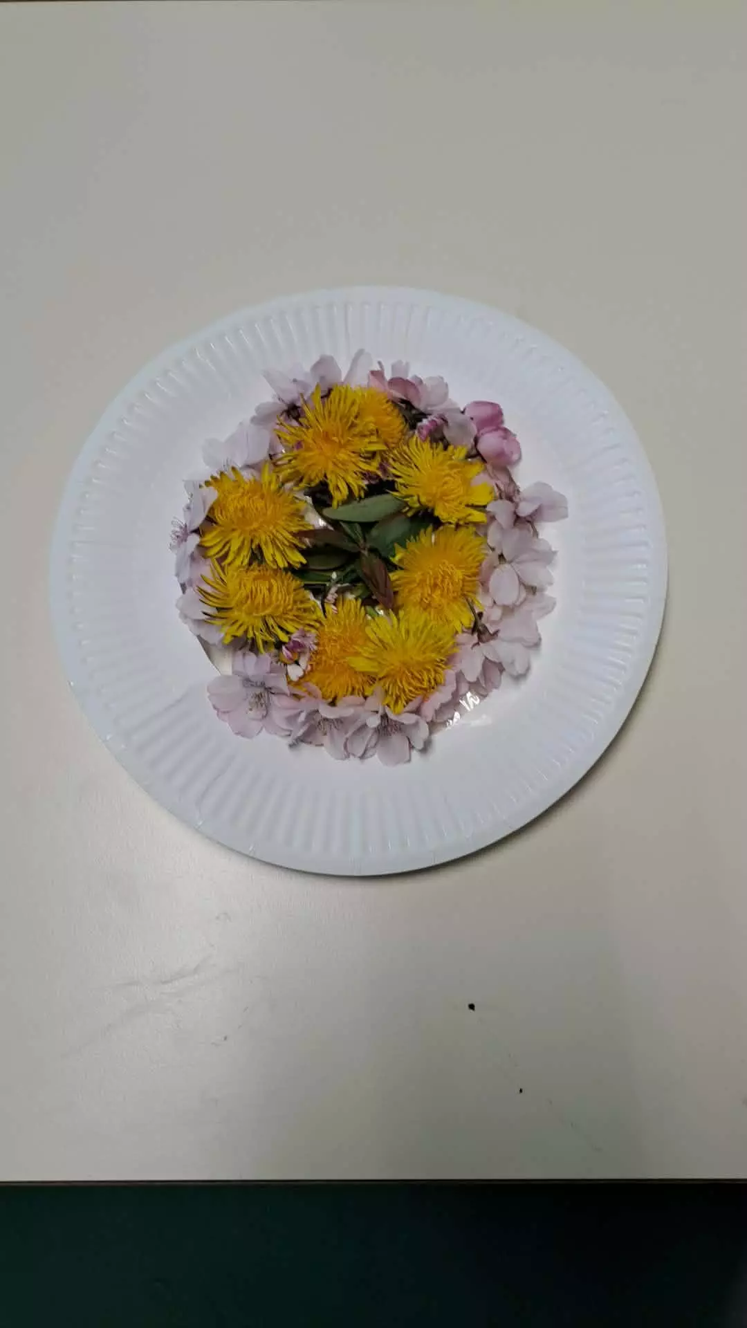 Centre de Saint Paulien - Vacances - Galerie vacances Pâques