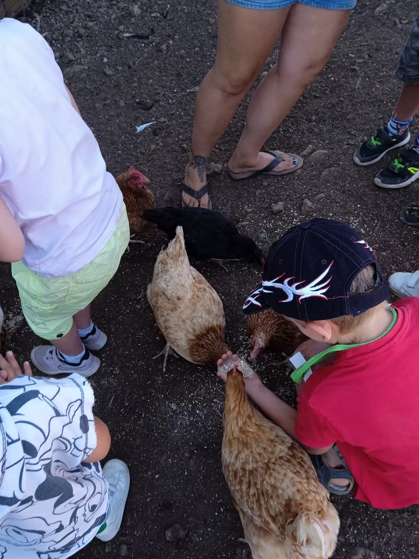 Centre de Velay Ouest (Allègre - Saint Paulien) - Vacances - Galerie vacances d'été 2022