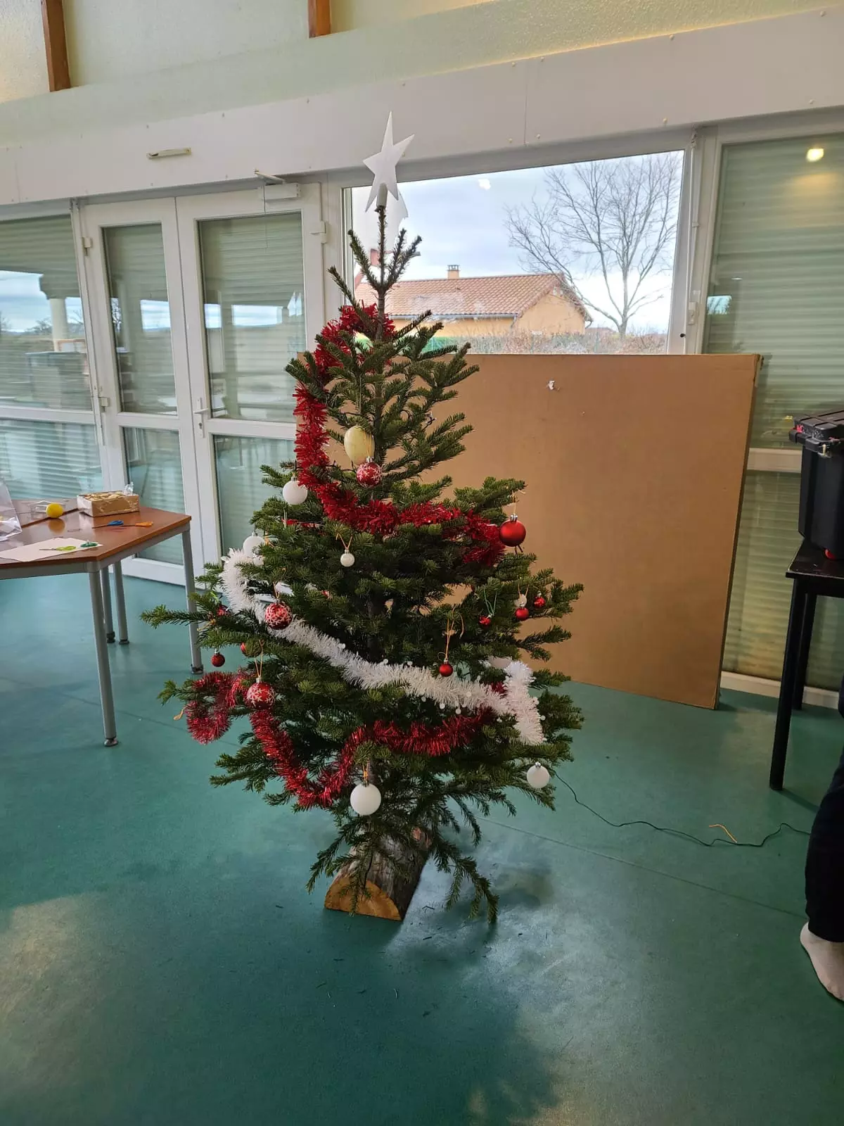 Centre de Velay Ouest (Allègre - Saint Paulien) - Vacances - Galerie vacances de noel 2022