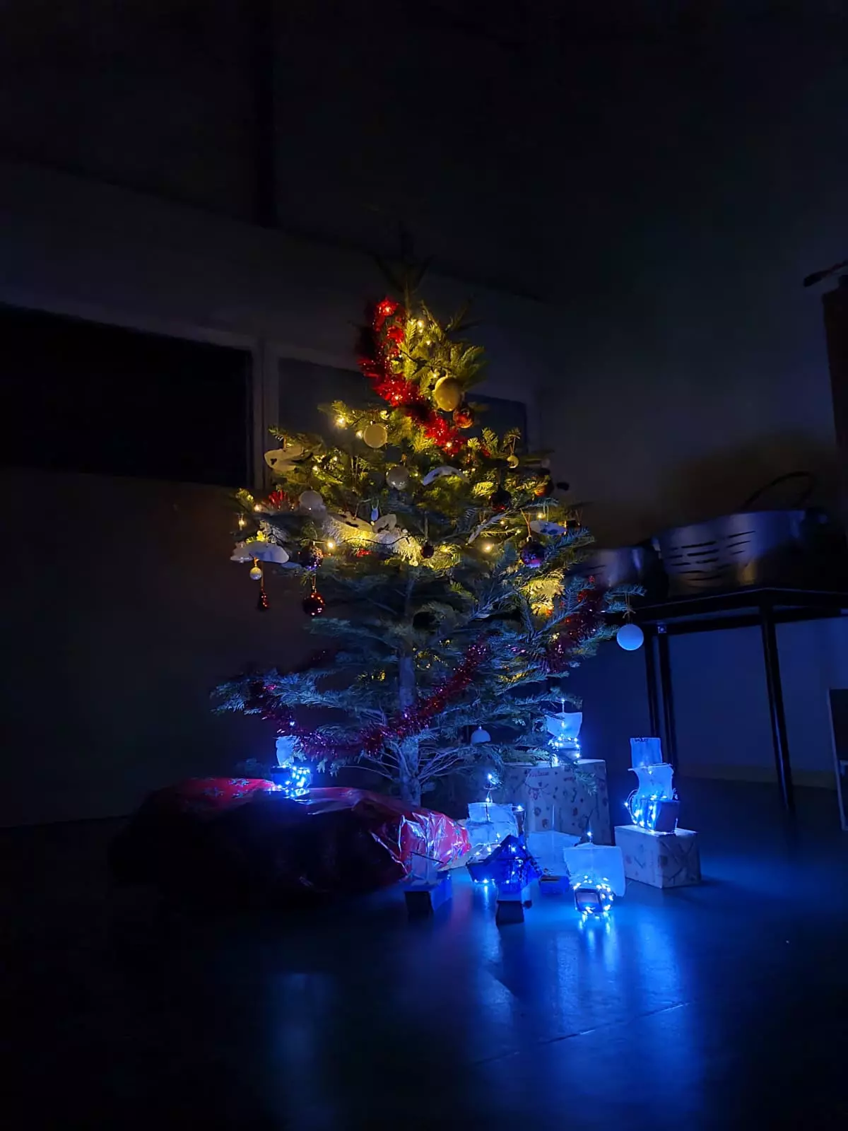 Centre de Velay Ouest (Allègre - Saint Paulien) - Vacances - Galerie vacances de noel 2022