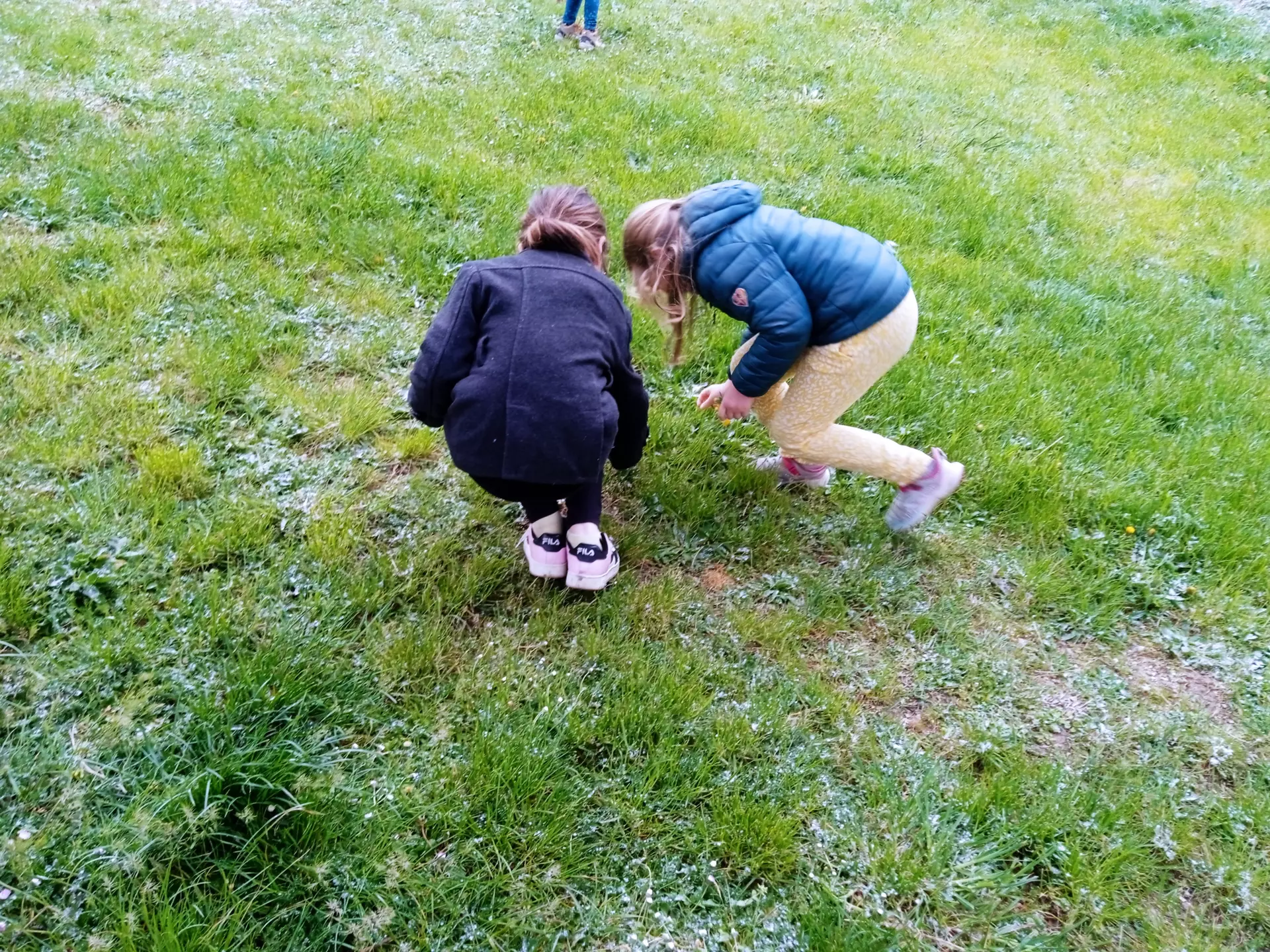 Centre de Saugues - Vacances - Galerie Les merveilles de la nature Avril 2024