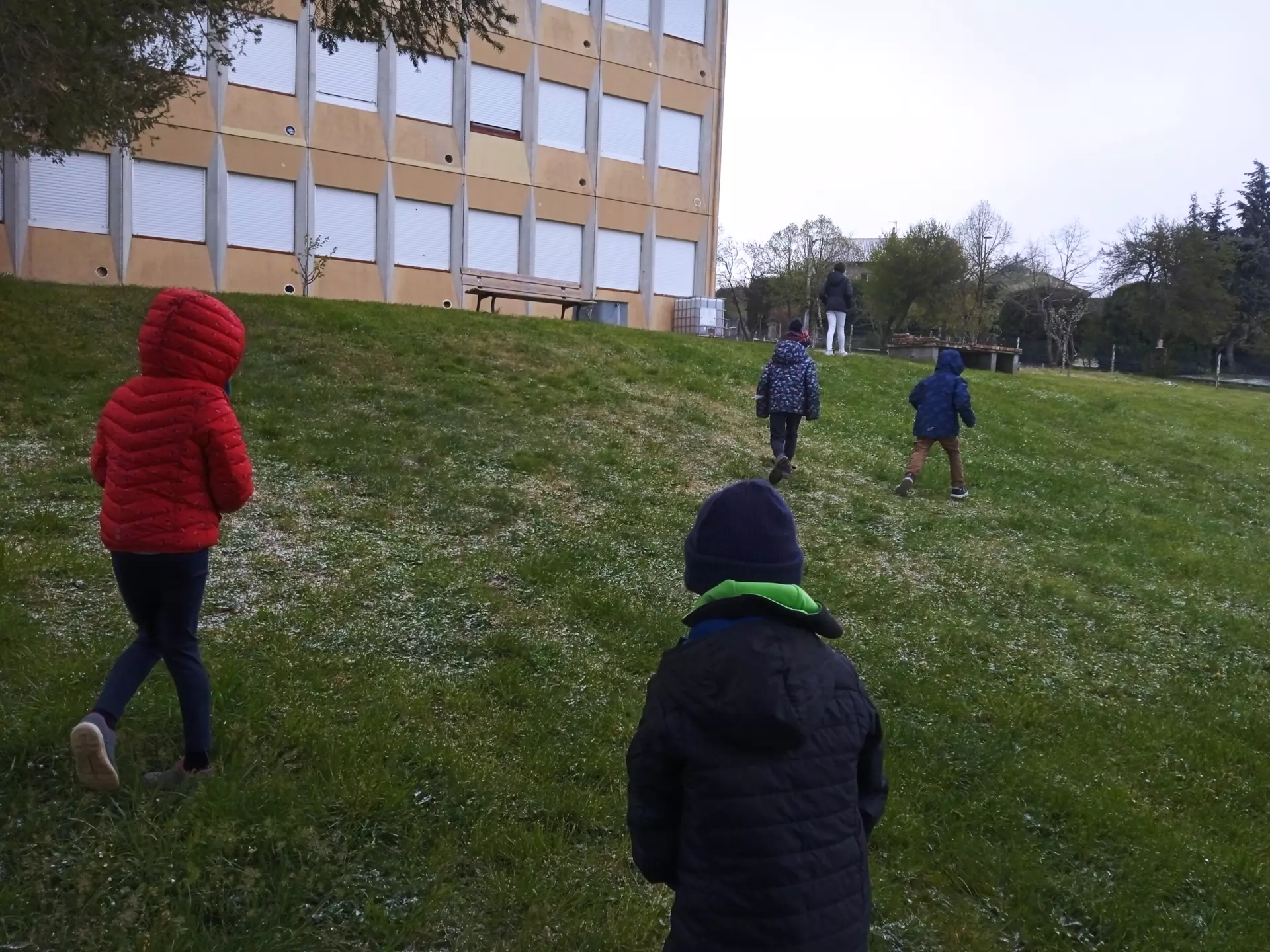 Centre de Saugues - Vacances - Galerie Les merveilles de la nature Avril 2024