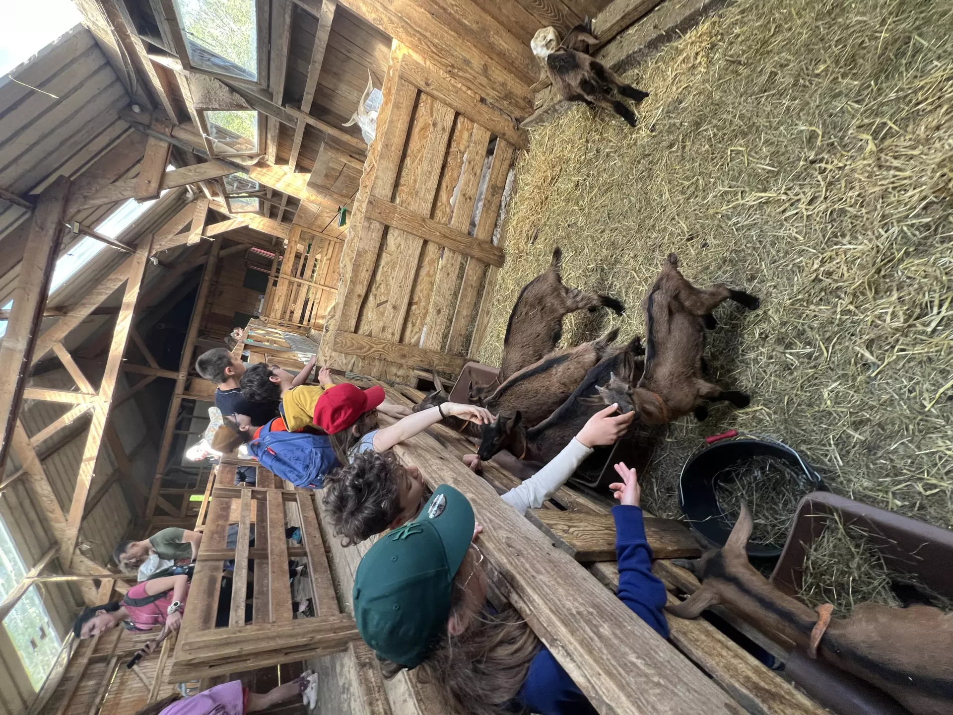 Centre de Langeac (Val Fleuri) - Vacances - Galerie Camps "Volcans & Minéraux"