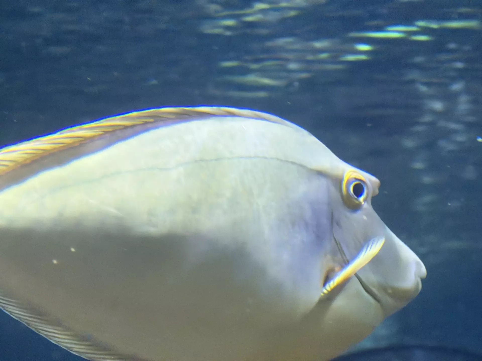 Séjour ✨ Un voyage ludique et culturel au cœur de la Normandie ✨ - Galerie La cité de la mer / deuxième jour