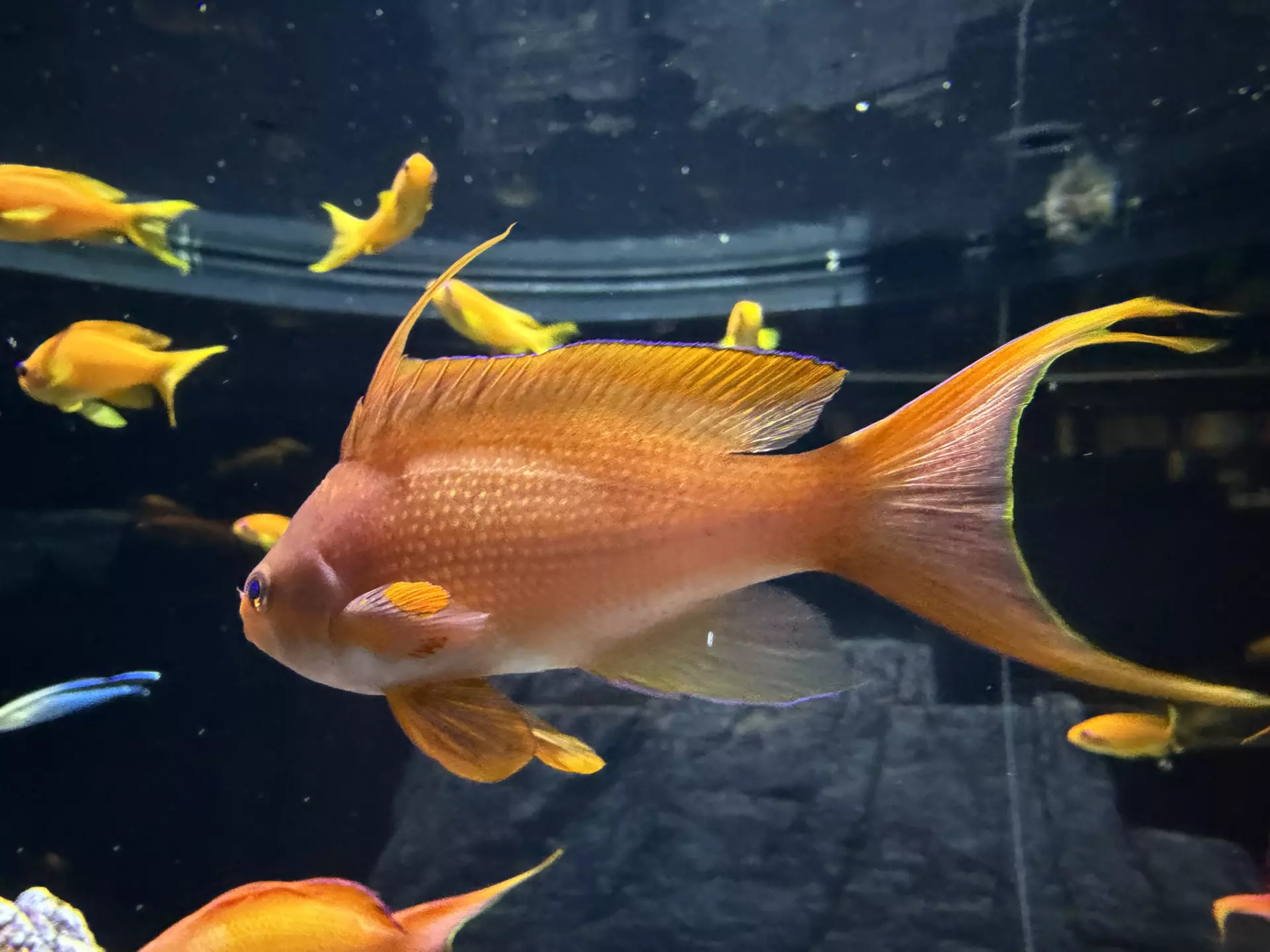 Séjour ✨ Un voyage ludique et culturel au cœur de la Normandie ✨ - Galerie La cité de la mer / deuxième jour