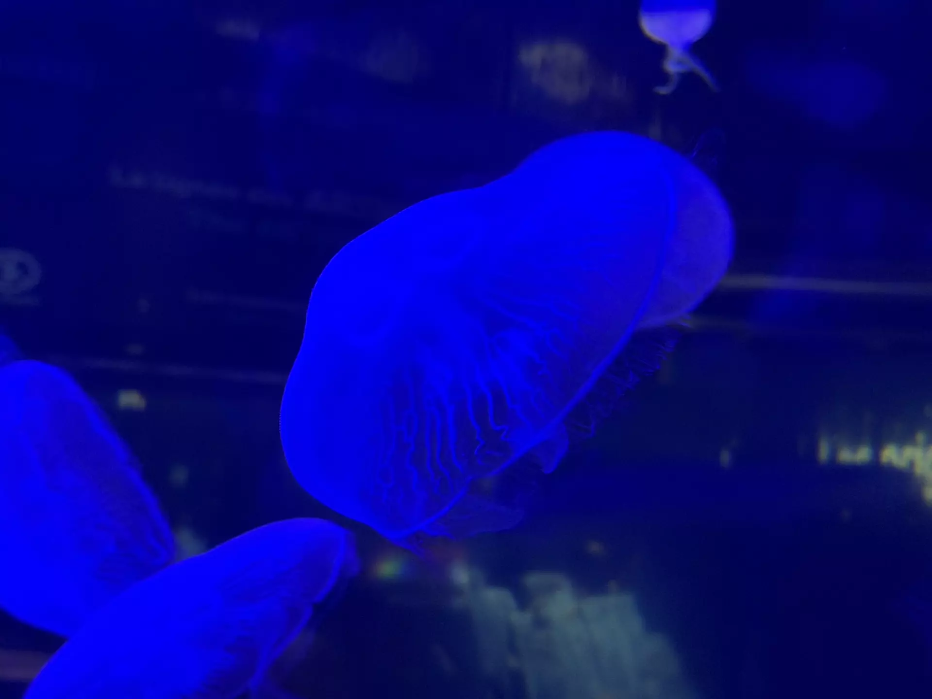 Séjour ✨ Un voyage ludique et culturel au cœur de la Normandie ✨ - Galerie La cité de la mer / deuxième jour