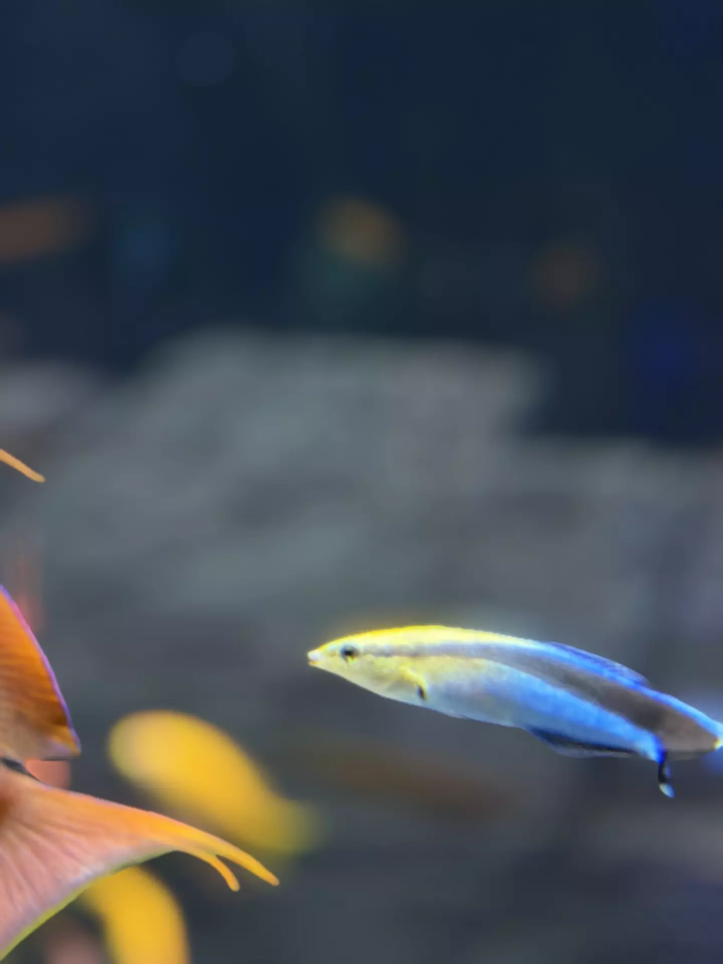 Séjour ✨ Un voyage ludique et culturel au cœur de la Normandie ✨ - Galerie La cité de la mer / deuxième jour