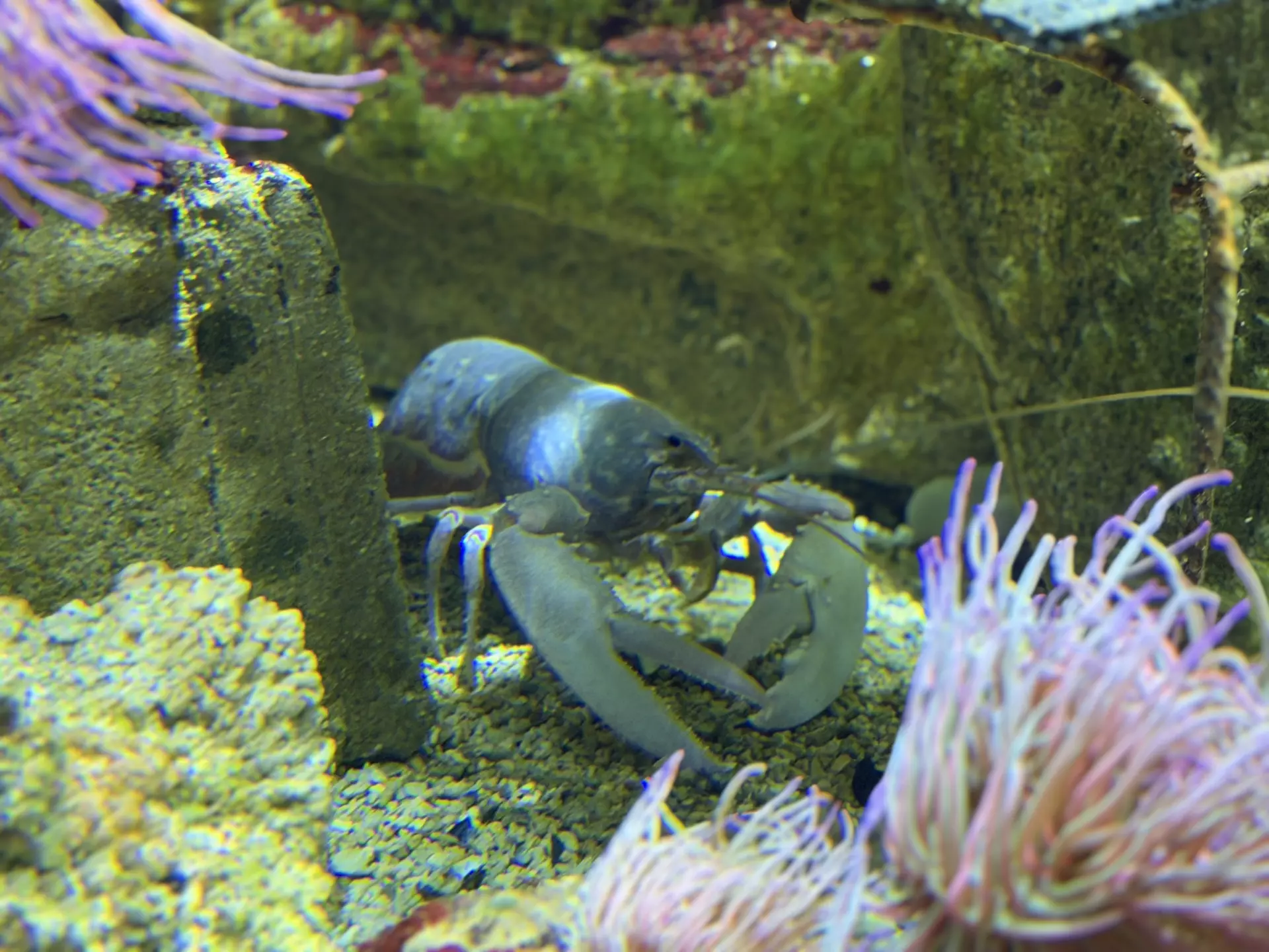 Séjour ✨ Un voyage ludique et culturel au cœur de la Normandie ✨ - Galerie La cité de la mer / deuxième jour