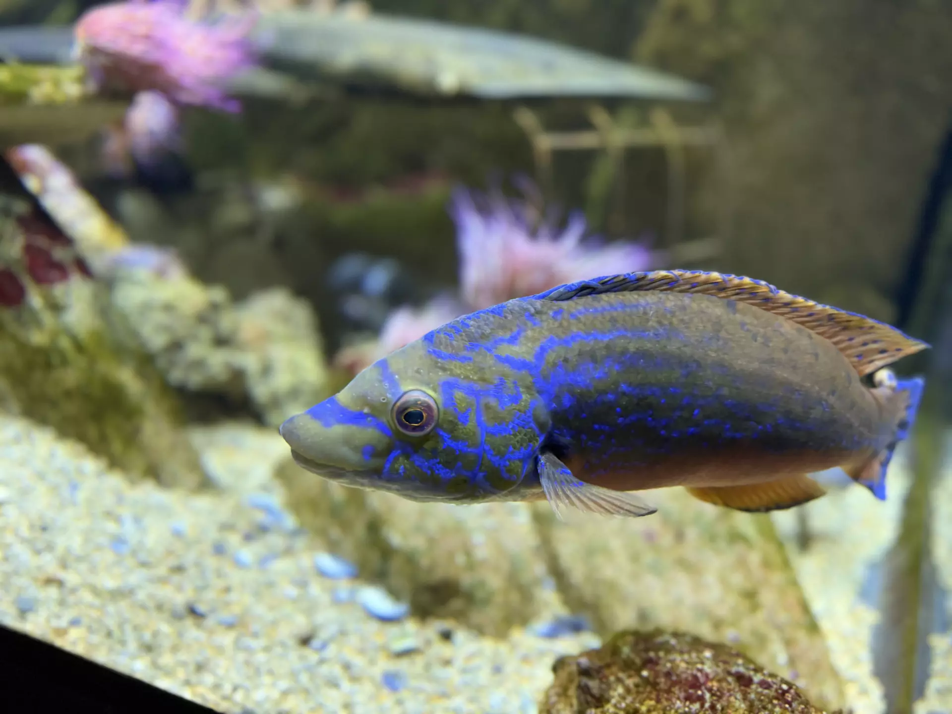 Séjour ✨ Un voyage ludique et culturel au cœur de la Normandie ✨ - Galerie La cité de la mer / deuxième jour