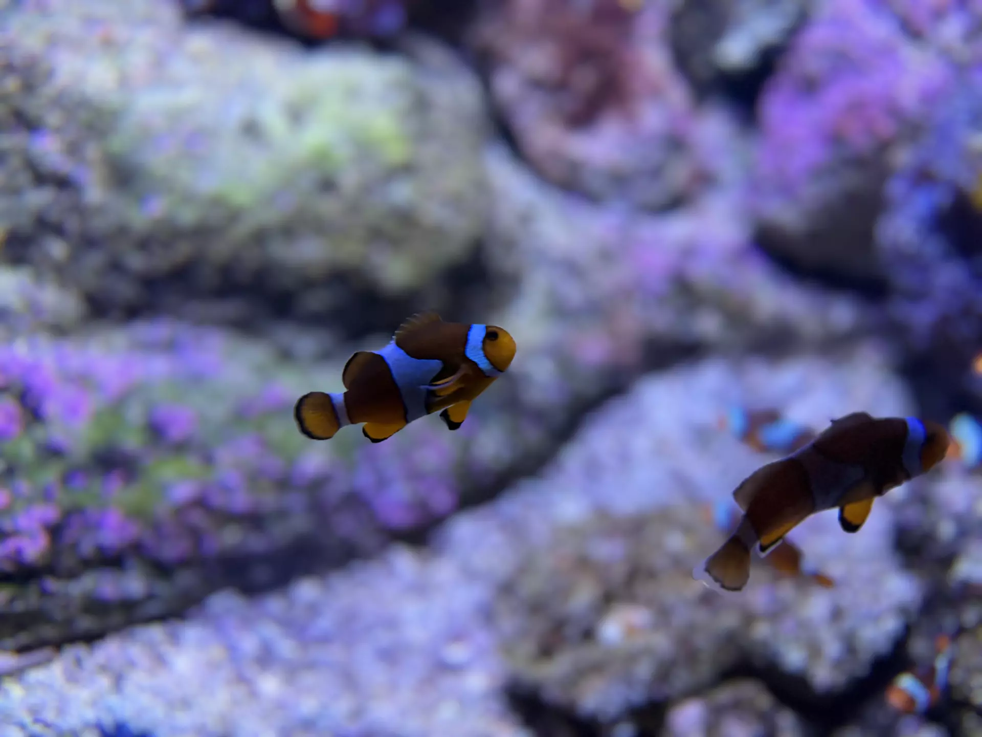 Séjour ✨ Un voyage ludique et culturel au cœur de la Normandie ✨ - Galerie La cité de la mer / deuxième jour