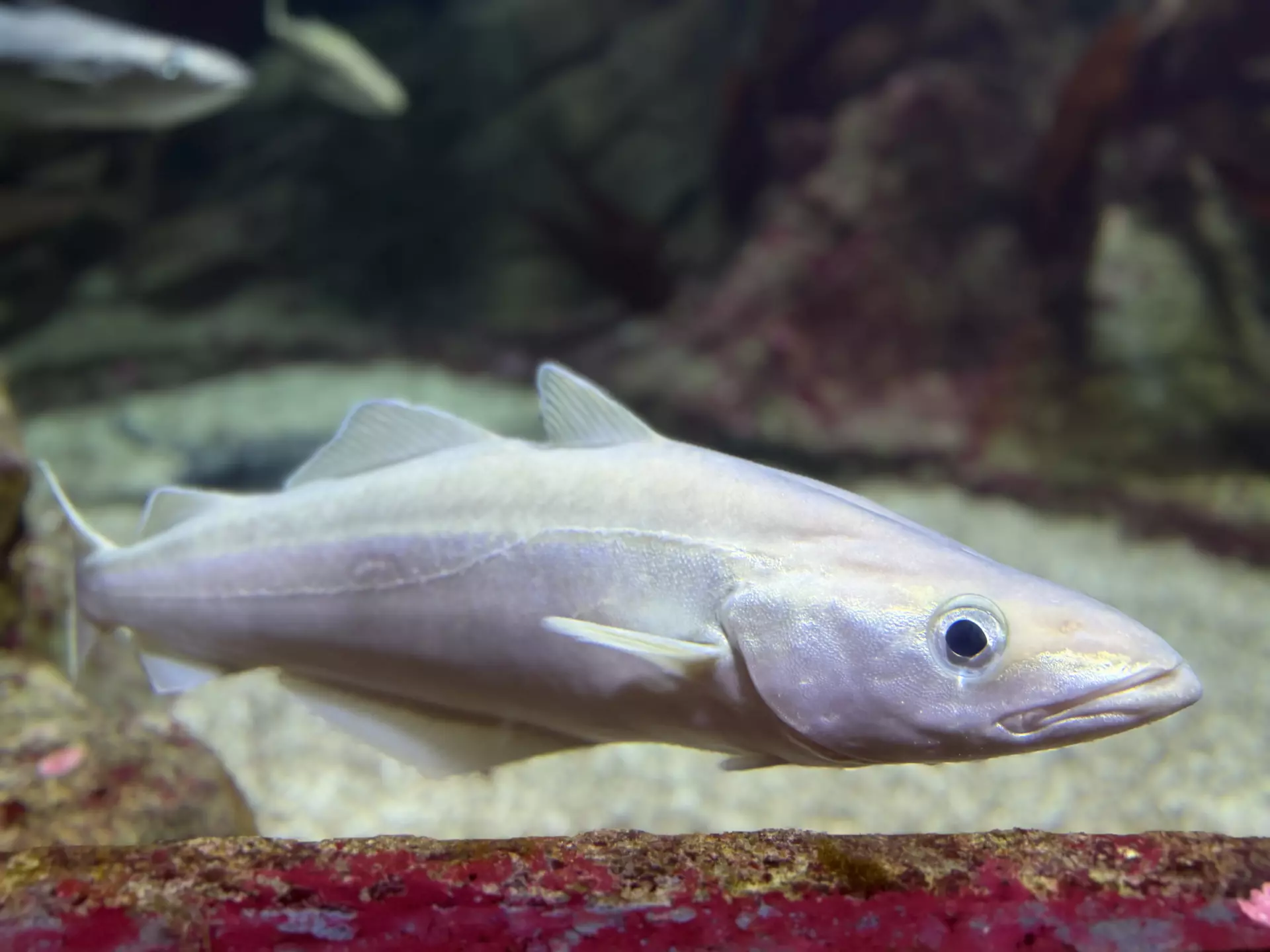 Séjour ✨ Un voyage ludique et culturel au cœur de la Normandie ✨ - Galerie La cité de la mer / deuxième jour