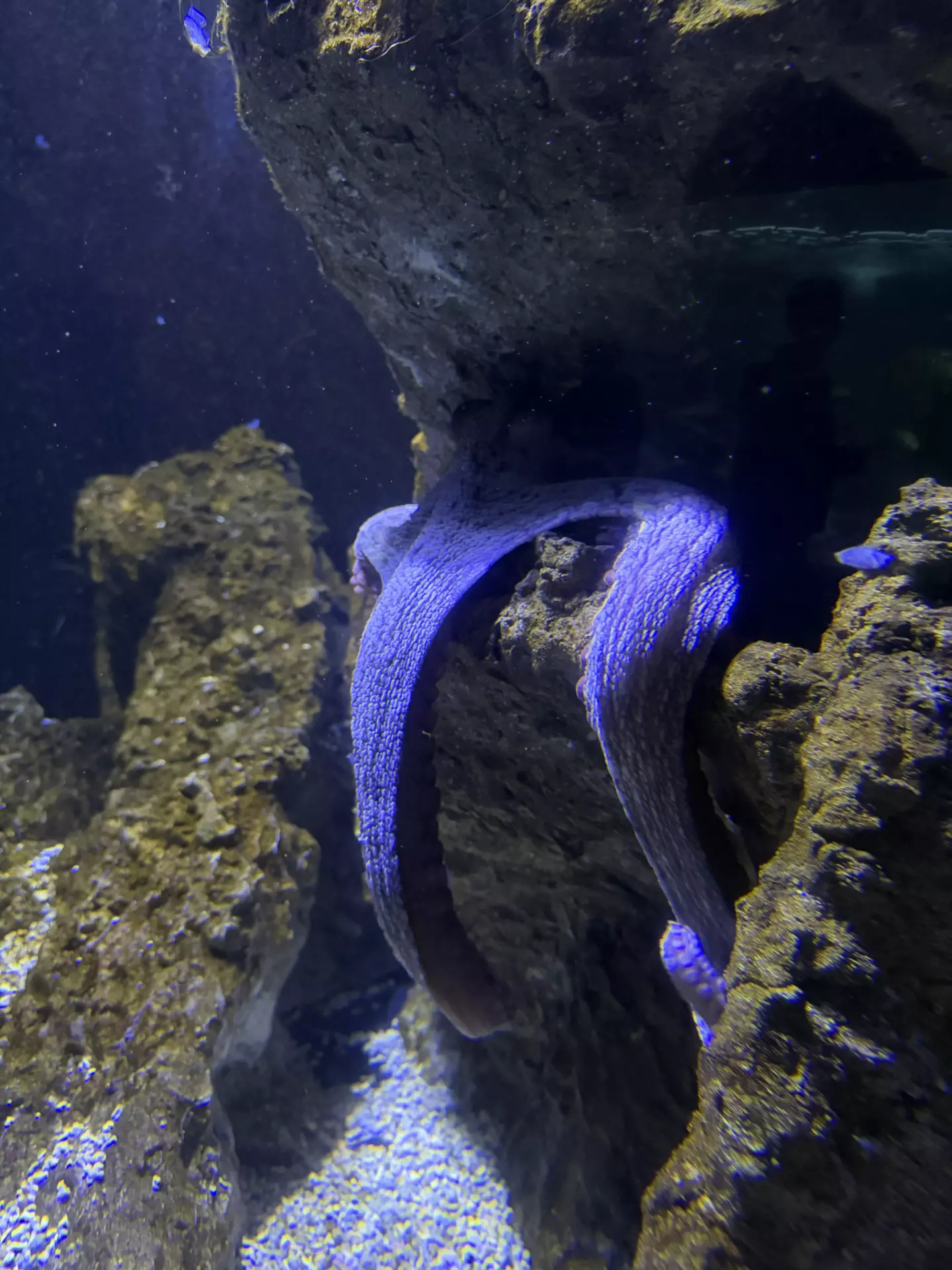 Séjour ✨ Un voyage ludique et culturel au cœur de la Normandie ✨ - Galerie La cité de la mer / deuxième jour