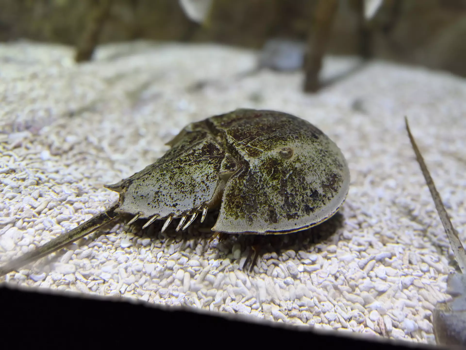 Séjour ✨ Un voyage ludique et culturel au cœur de la Normandie ✨ - Galerie La cité de la mer / deuxième jour