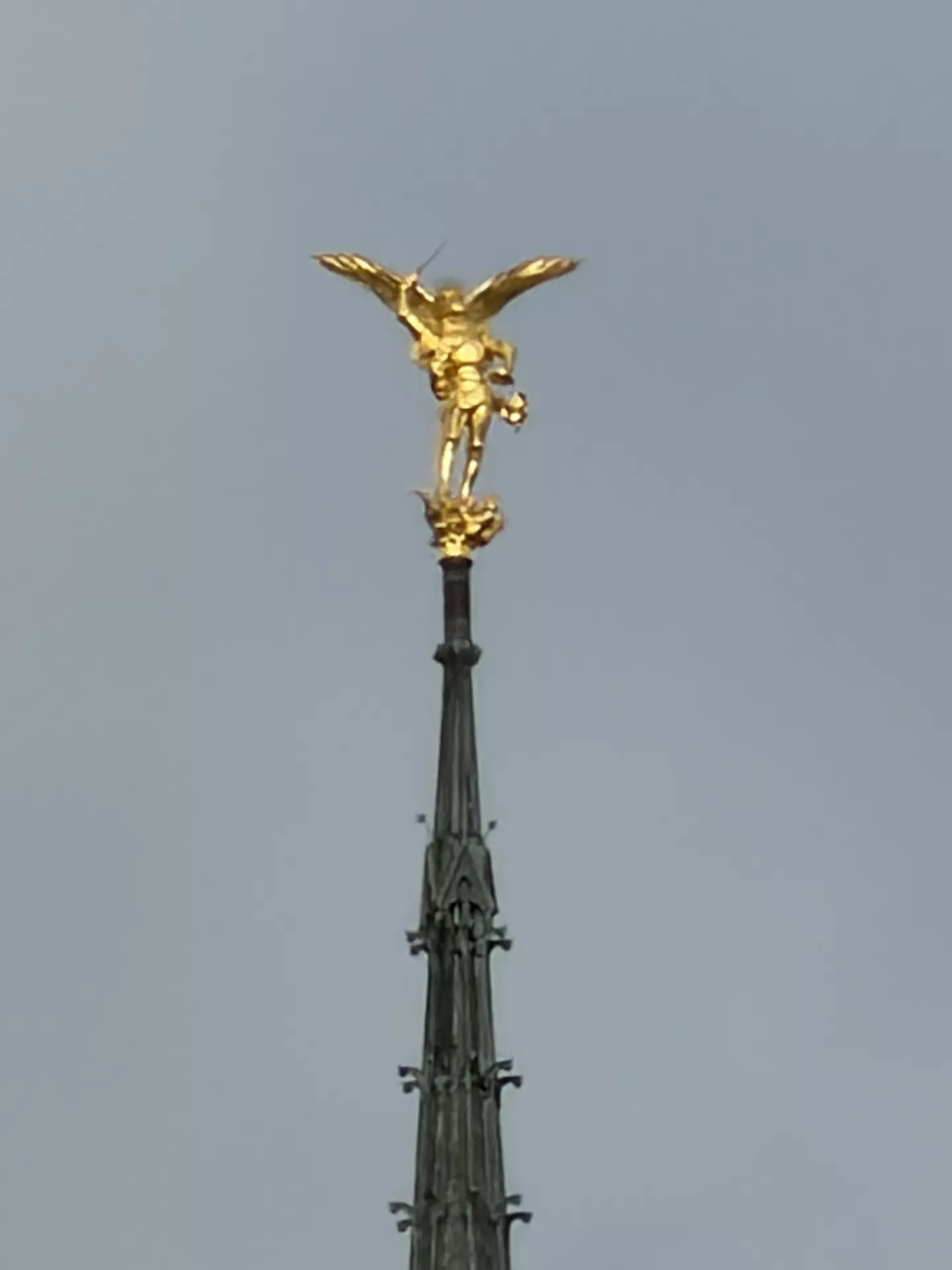 Séjour ✨ Un voyage ludique et culturel au cœur de la Normandie ✨ - Galerie Mont St Michel et visite de la ferme / jour 4
