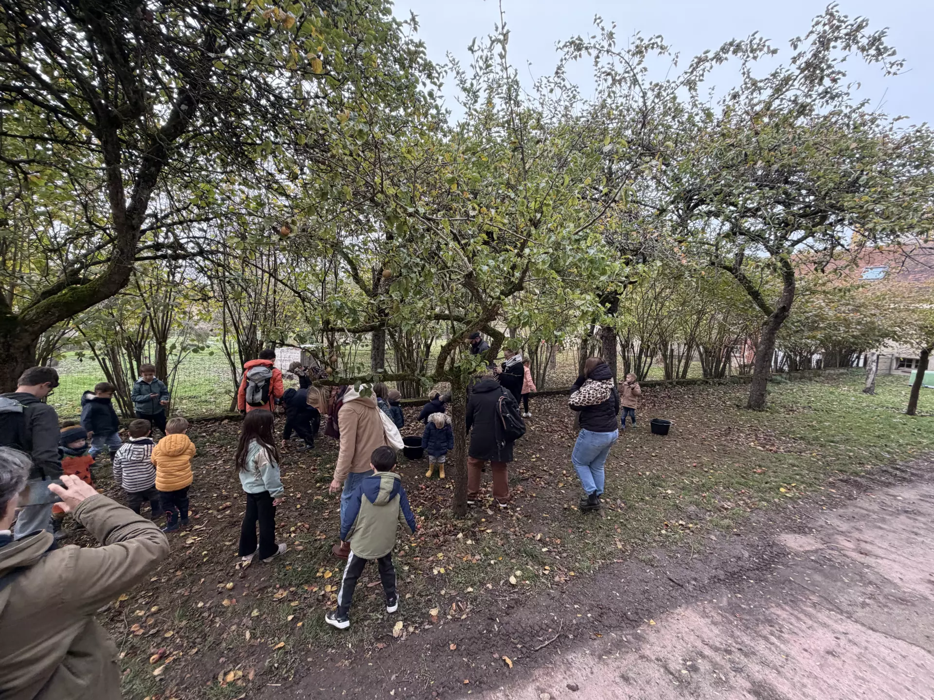 Séjour ✨ Un voyage ludique et culturel au cœur de la Normandie ✨ - Galerie Mont St Michel et visite de la ferme / jour 4