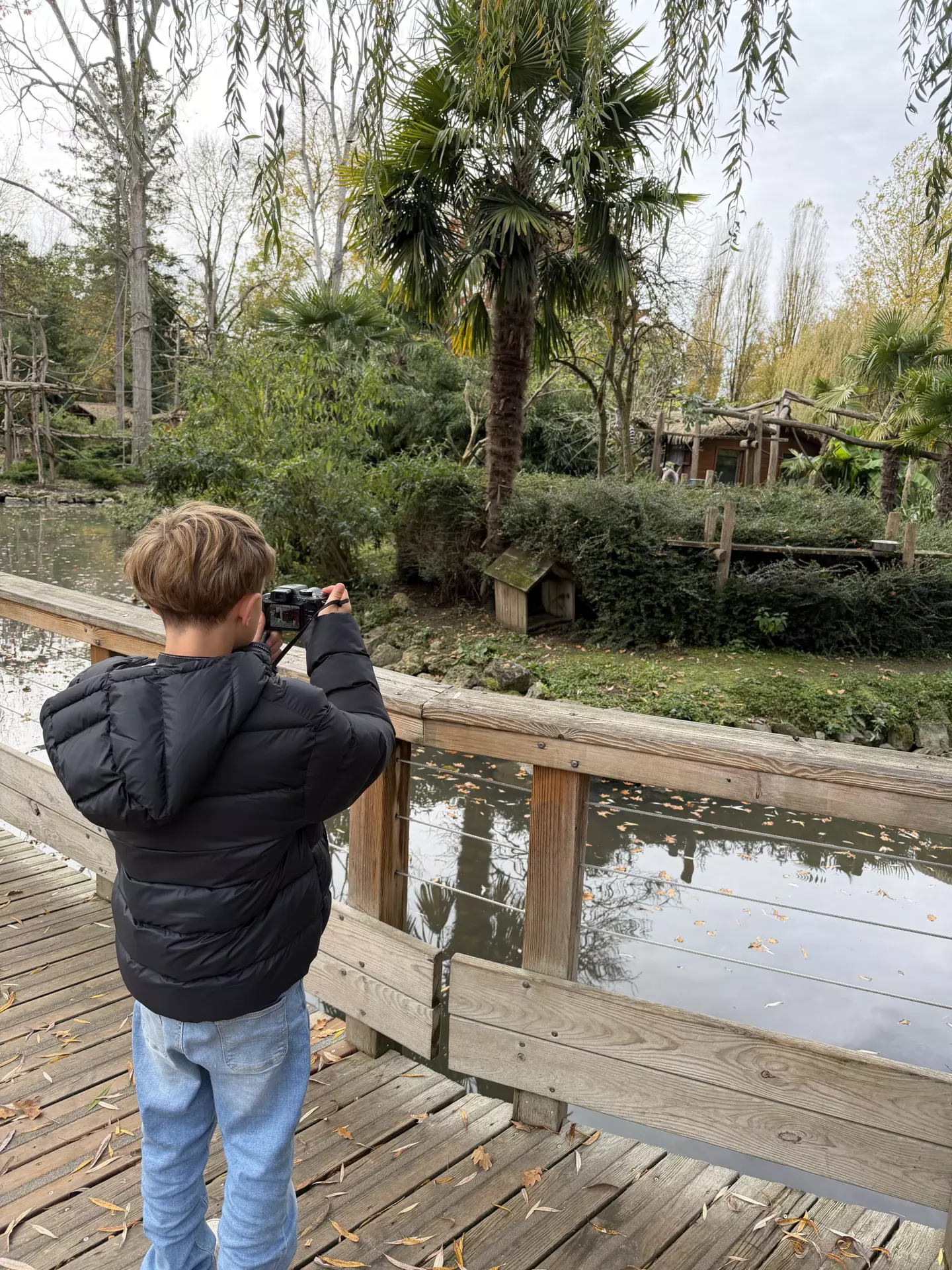 Séjour ✨ Un voyage ludique et culturel au cœur de la Normandie ✨ - Galerie Zoo de Beauval / jour 5