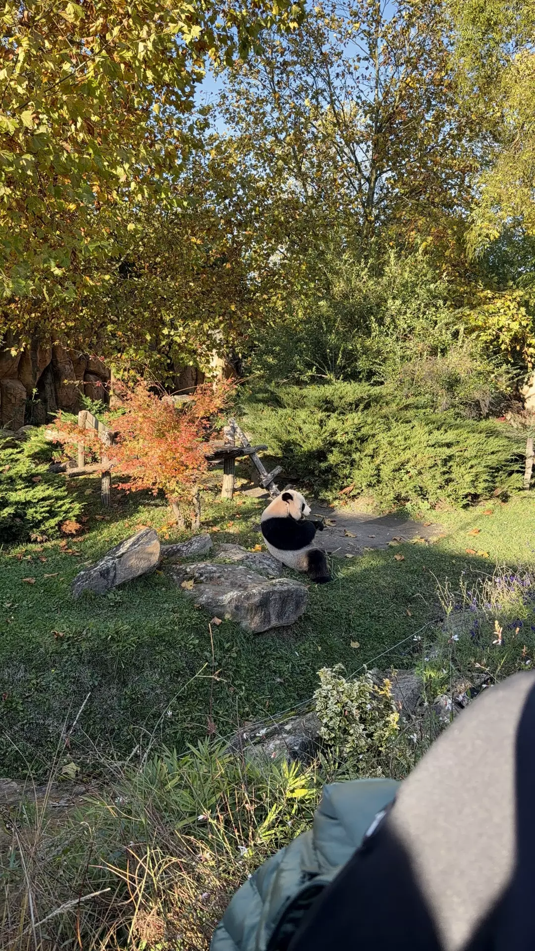 Séjour ✨ Un voyage ludique et culturel au cœur de la Normandie ✨ - Galerie Zoo de Beauval / jour 5