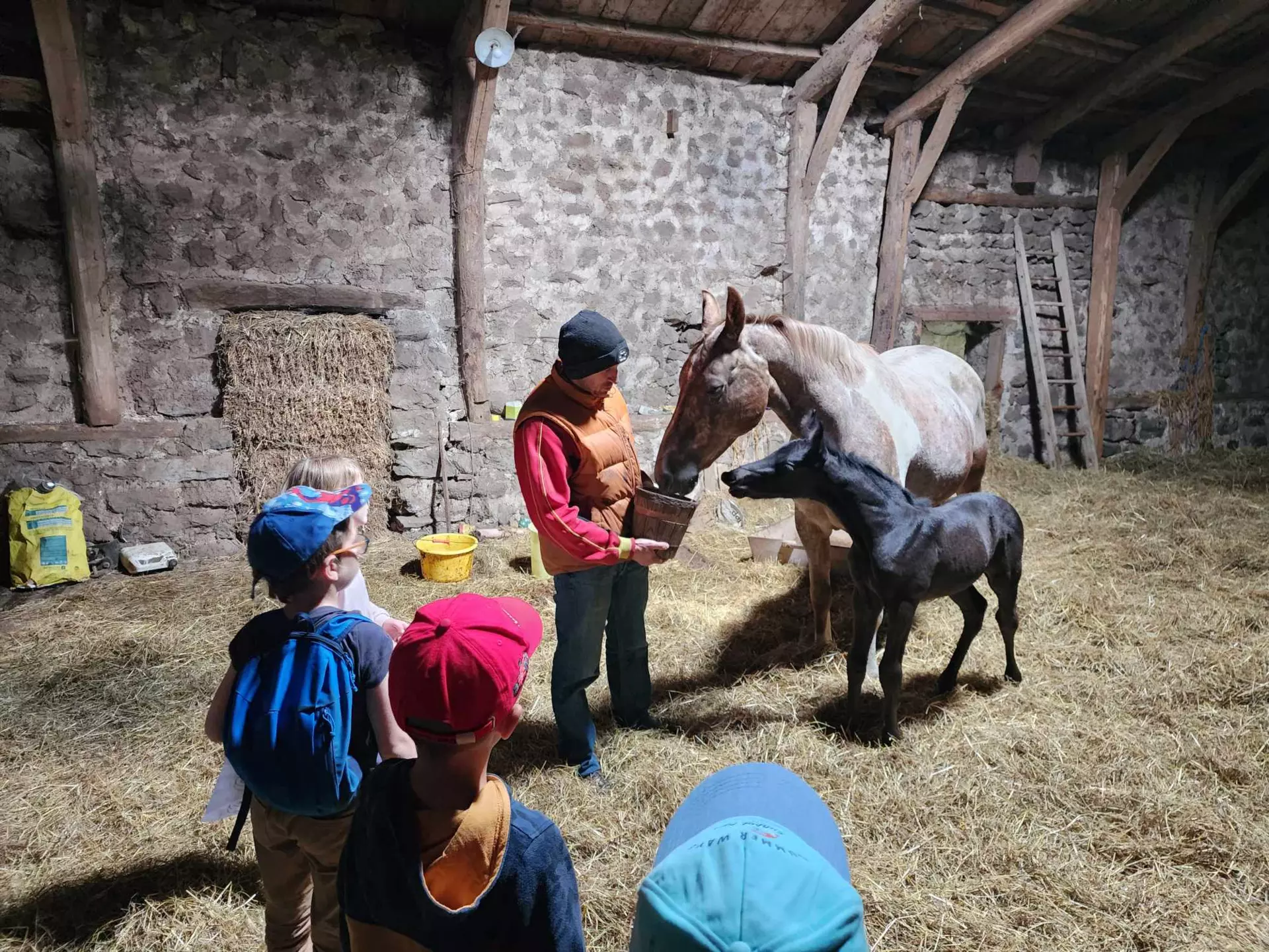 Centre de Mercredis Velay Ouest (Loudes/Allègre/St Paulien) - Mercredis - Galerie Mercredis 2024