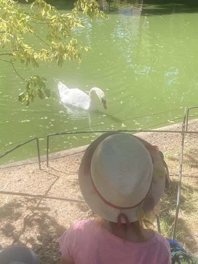 Centre de Siaugues Sainte Marie - Vacances - Galerie semaine du 1 au 5 aout "