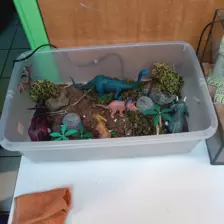 Centre de Bains & Solignac - Mercredis - Galerie vrac