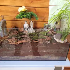 Centre de Bains & Solignac - Mercredis - Galerie Les vers de terres